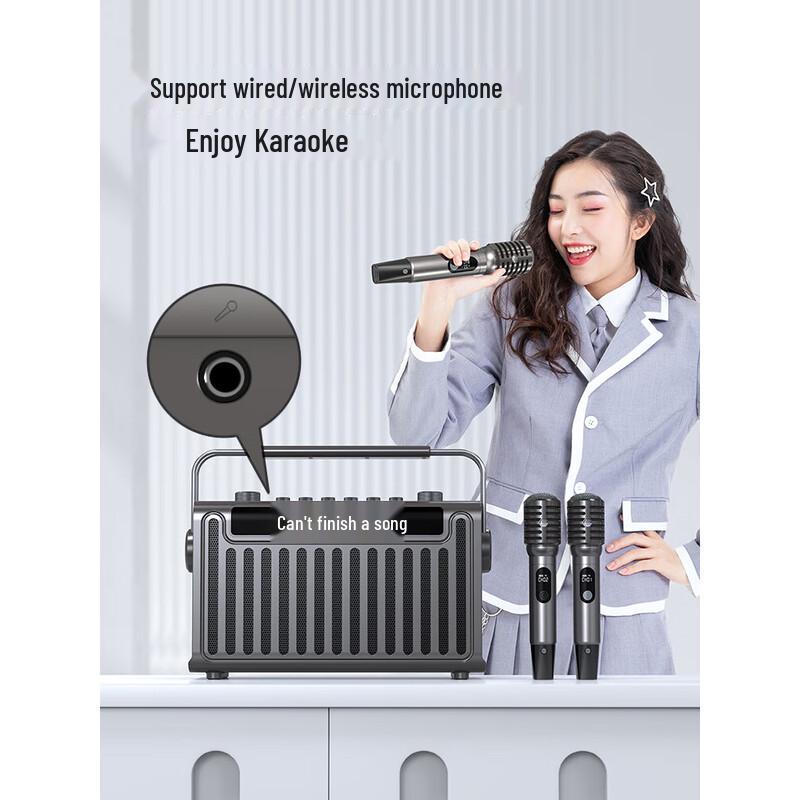 SANSUI E96 High-Power Portable Karaoke & Live Stream Speaker