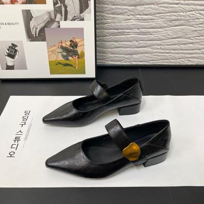 French Thick Heel Velcro Light Mouth Single Shoes Women'S Pointed Head Foreign Style Versatile Mary Jane Small Leather Shoes
