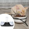 Double Bowl Pet Food Water Dish Feeder For Dog Cats Daily Feeding with Automatic Water Dispenser For Pet Dry Wet Food