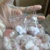 New Kawaii Mini Puppy Seal Chicken Handmade Silicone Pinch Squeeze Toy Adult Children Birthday Gift Squishy Toys