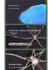 Mamoru Sunflower Ultralight Compact Sun & Rain Umbrella - Portable Sunscreen Parasol