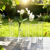 12/18pcs Transparent Cylindrical Plastic Vases Home Decor Flower-Wrapping Vases for Tabletop Decoration and Flower Cultivation