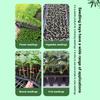 10 Stück Anzuchtschalen Kunststoff Garten Keimschalen Schwarzer Anzuchtbehälter Gartenzubehör Für Gemüse Blume