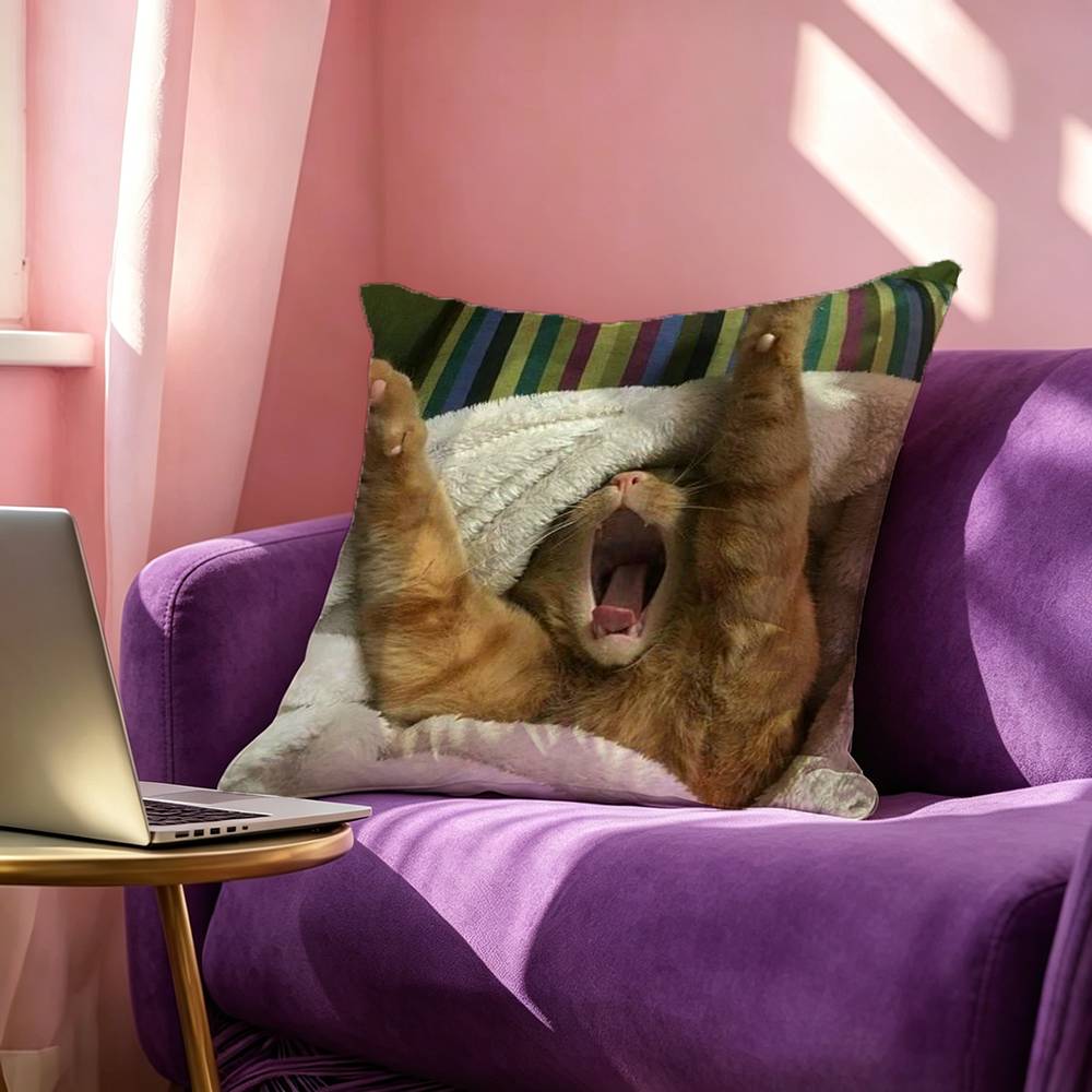 Funny Cute Cat Square DoubleSided printed Pillow Case Bedroom Bedside Pillow Sofa Cushion Cover
