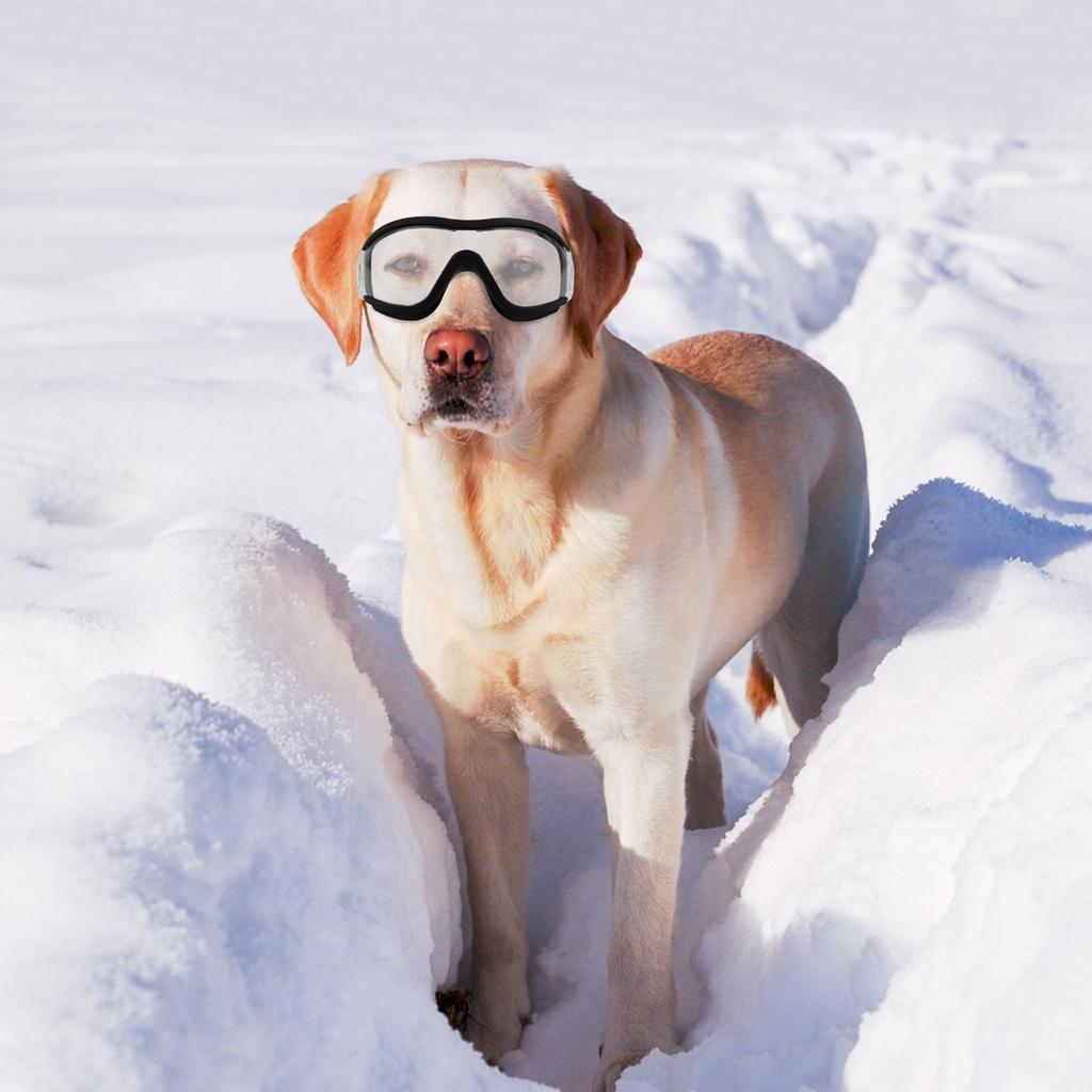 Hundebrille Mittelgroßer Hund UV-beständig Verstellbare Brille Winddicht Schneeabweisend Staubabweisend Hundebrille