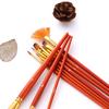 10pcs Paint Brushes Set  Artist for Acrylic Watercolor Oil Painting