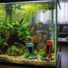 Simulation Fish Tank Decoration Natural Look Resin Telephone Booth Decoration Retro Artificial Aquarium Ornament Aquarium Setup