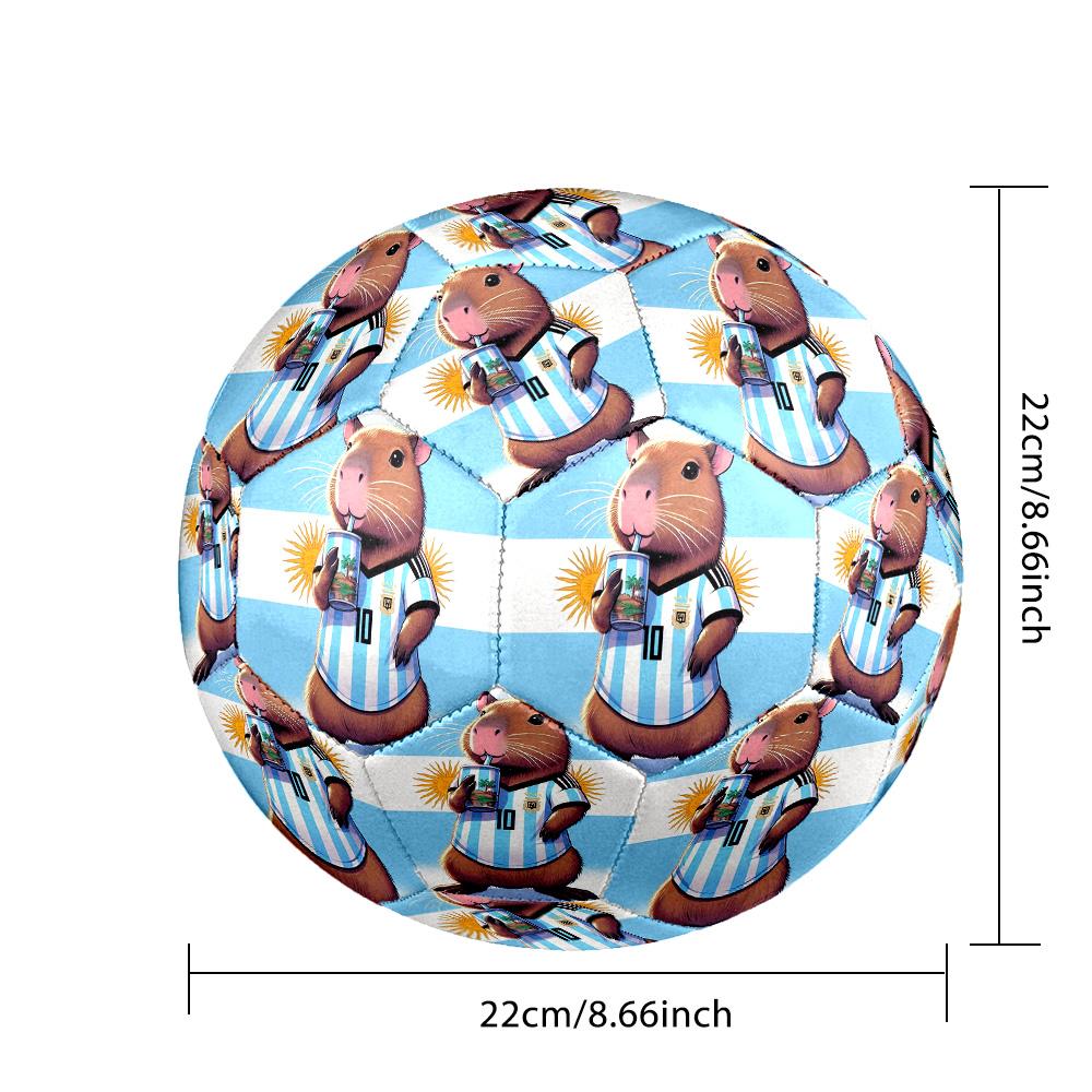 1 pallone da calcio Argentina Celebration Taglia 5, Adatto per partite di allenamento/allenamenti per tornei, Leggero e resistente gt70720