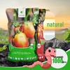 Organic Slow-Release Earthworm Compost Fertilizer for Flowers, Vegetables, Succulents, and Potted Plants