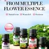Fragrance Essential Oil Set, Nourishing and Moisturizing Body Universal Serum