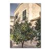 Italienische Stadt Zitrone Orange Ernte Poster und Drucke Zuhause Garten Pflanzen Leinwandmalerei Auto Fahrrad Innendekor Bild Wandkunst