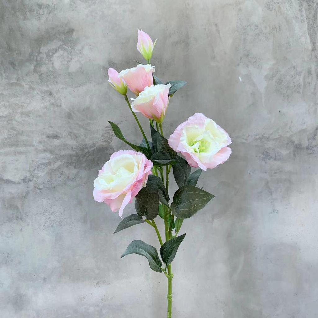 Flores de Lisianthus de Seda Estilo Nórdico - 6 Cabezas para Fondos de Arte y Fotografía