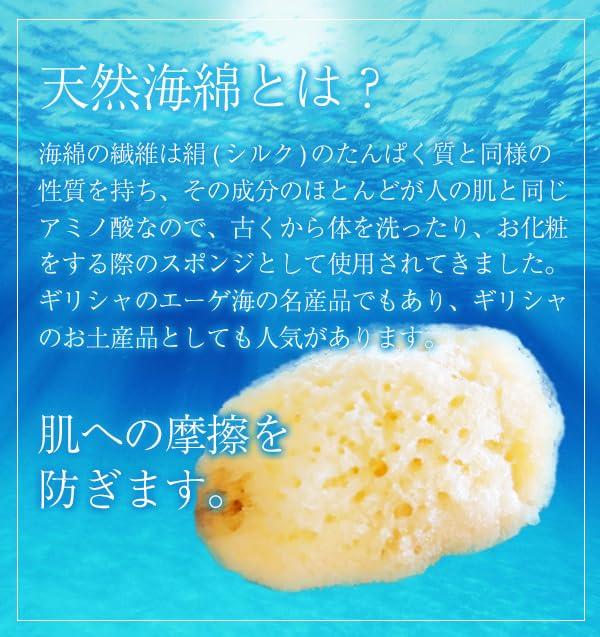 Sanitary Commercial Natural Individually Face Delicate Zone [12 Pieces] Sponge, Product, Sponge, Use, Sponge, Wrapped, Ziplock, Sanitary, Absorbent,