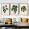 House Plants Monstera Philodendron Poster and Print Canvas Painting Potted Botanical Leaves Wall Art Picture for Room Home Decor