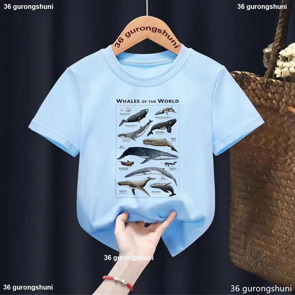 Newly Childern Tshirt Whales Of The World Graphic Print Cute BoysGirls Summer Fashion Harajuku Short Sleeve Solid TShirt Tops
