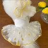 Koreanische Niedliche Hunde Kleidung Sommer Katze Prinzessin Kleid Haustier Kleidung Mädchen Hund Kostüm Neue Mode Trendig