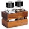 Spice Shaker Salt Pepper Shaker Set Salt Pepper Containers Stand