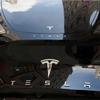 Metal Car Front Hood Rear Trunk Badge Sticker Decoration for Tesla Model 3 S X Y Roadster Auto Emblem Exterior Decal Accessories