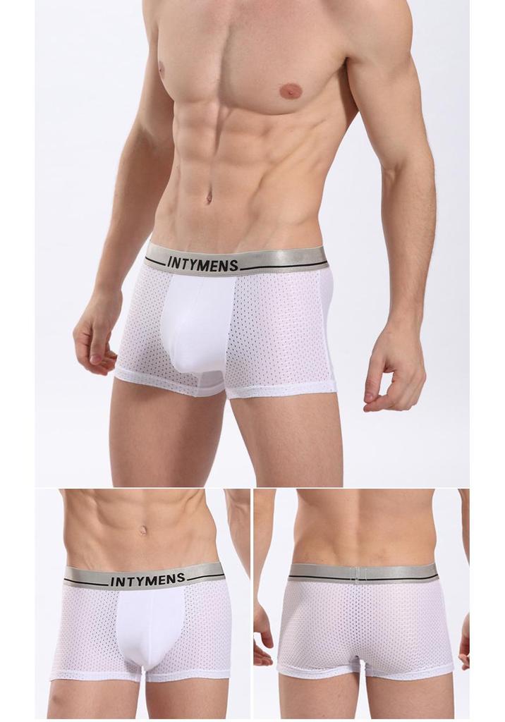 Breathable Sexy Ice Silk Men's Hollow Boxer Briefs - Plus Size European & American Styles