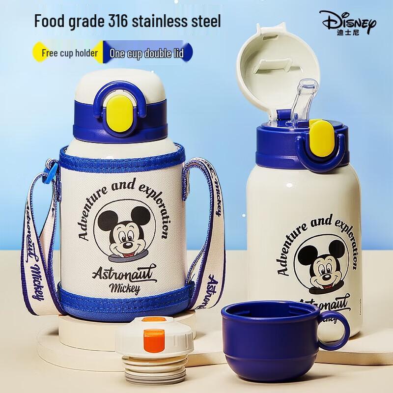 Disney 316 SS Kids Insulated Straw Bottle