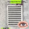 Glue-Free, Easy 3-Step Natural-Look Dense False Eyelashes - Manga Sunflower Lashes