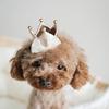 Mini Birthday Crown Pet Dog Cat Birthday Hat Cute Accessories Pet Cosplay Cosplay  Hair Clips Clips Grooming Supplies