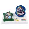 Educational Animal Plant Cell Anatomy Model With Detacheable Parts Animal and Plant Cell Model Biology Teaching Aid