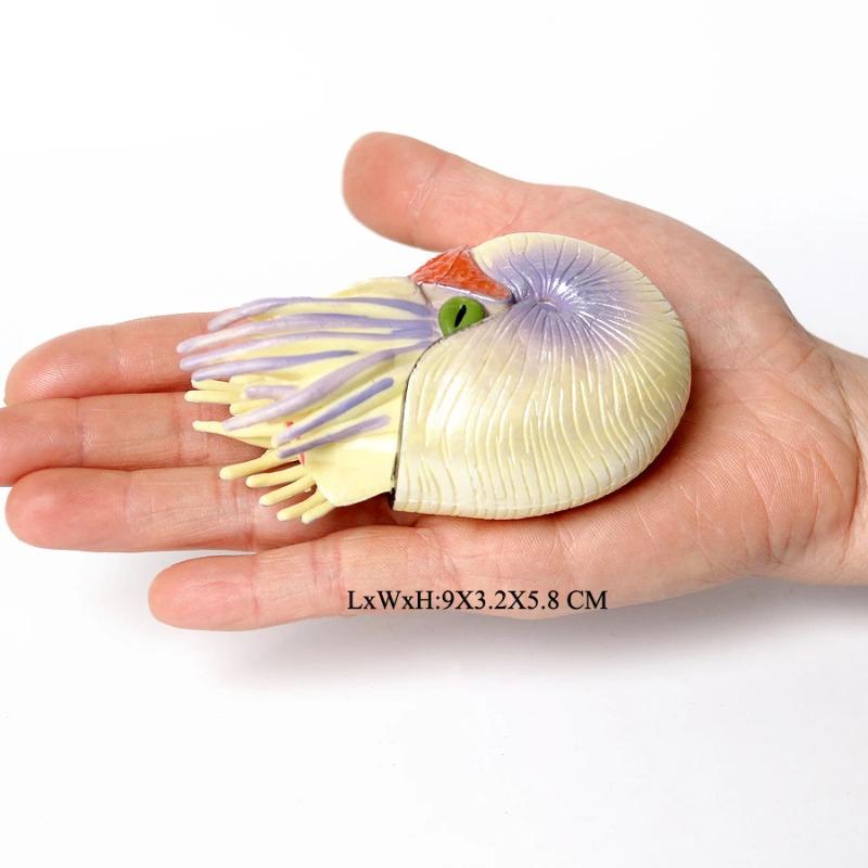 Plastic Prehistoric Sea Creature Ancient Cambrian Ocean Animal Nautilus,Trilobita,Baculite,Opabinia,Pikaia Marine Figurines Toys