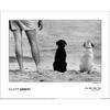 MAGNUM Elliot Erwitt - Usa New York Amagansett 1990 Paper Poster