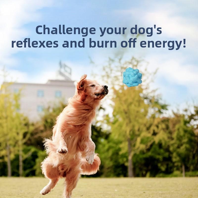 Natural Rubber Teething and Chewing Puppy Toy Ball That Won't Break, Interactive Training Eco-friendly Pet Toy