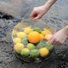 Foldable Transparent Bucket Picnic Fruit Basket Portable Clear Water Basins Food Storage Container For Camping Hiking Fishing