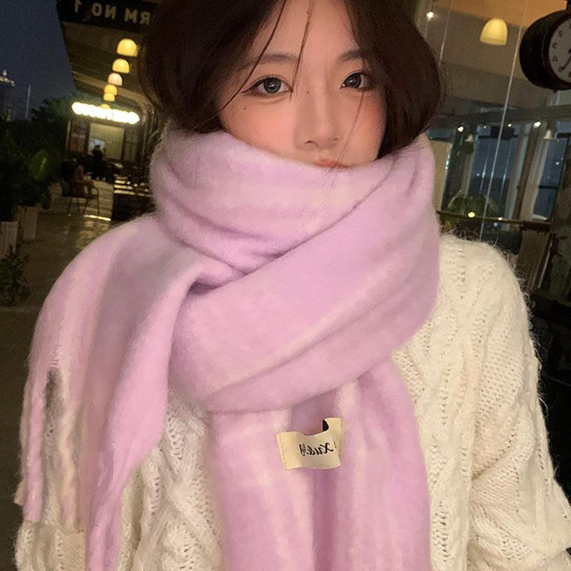 Korean Atmosphere Imitation Cashmere Tassel Scarf Women's New Autumn and Winter Warm and High End Versatile Scarf