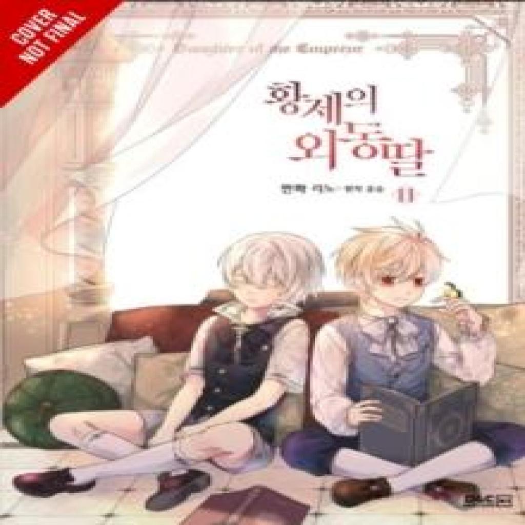 Daughter of the Emperor Vol. 11 by YUNSUL YUNSUL Paperback Book 9781975392161