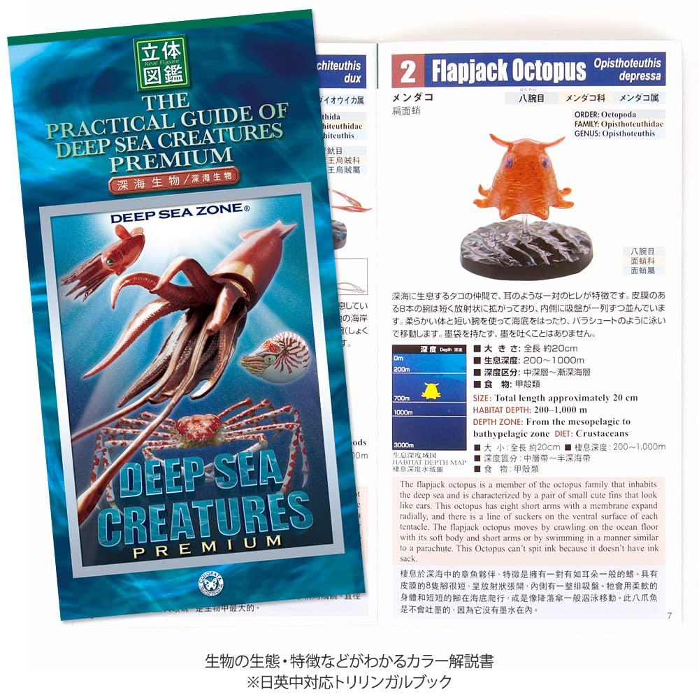 Calorata Deep Sea Creatures 3D Encyclopedia Crab 8 Species Includes Instruction Manual and Realistic Figures Birthday Present Gift Sanitation Law Toy