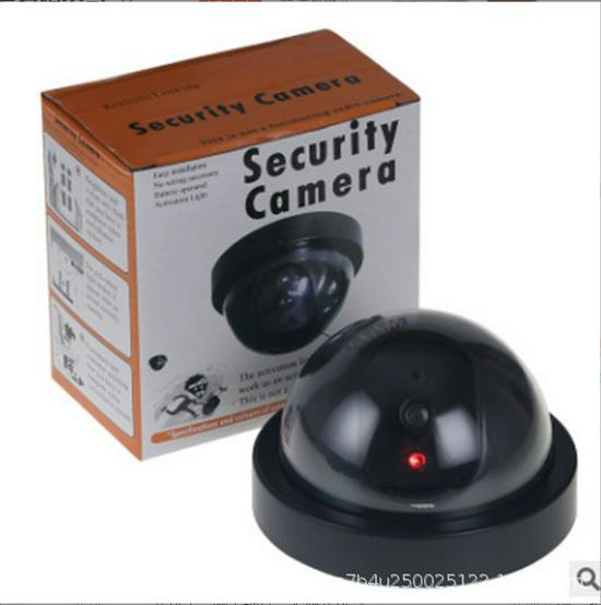 Simulated Indoor Dome Security Camera with LED Lights