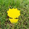 Sun Butterfly Double-Sided Yellow Insect Trap: Sticky Lure Board for Flies & Insects