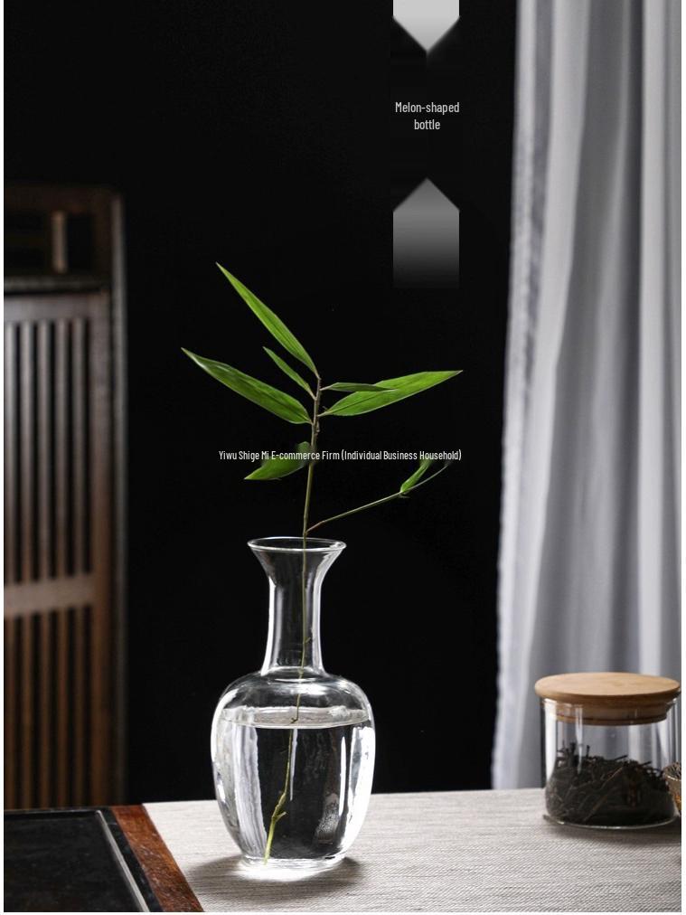 Zen Transparent Glass Vase for Hydroponic Plants and Small Mouth Flower Arrangements