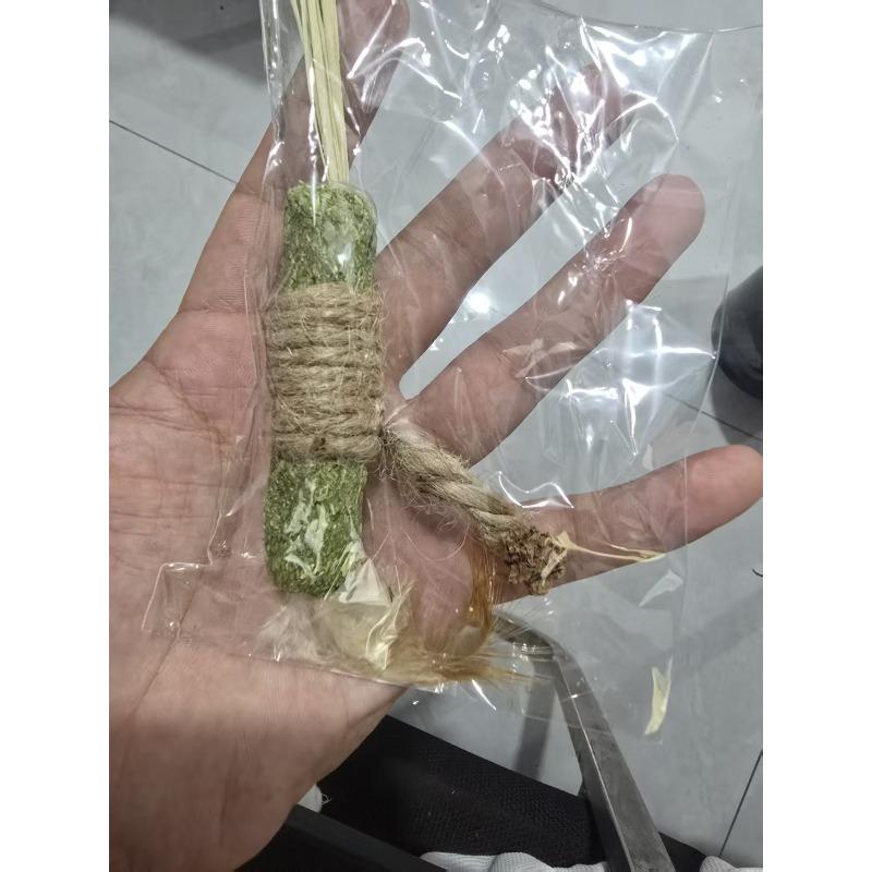 Supergroße Katzenspielzeuge mit Katzenminze zur Selbstunterhaltung und gegen Langeweile, langlebiges Holz, Tianhua Katzenminzebälle, Katzenangel, Katzenbeißstäbe