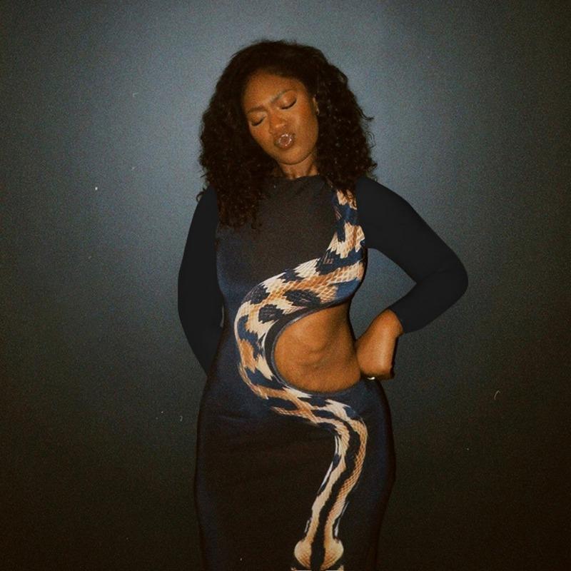 Damen Herbst- und Winter Taillenlose Hoher Schlitz Langarm Sexy Schlangenmuster Lange Kleider