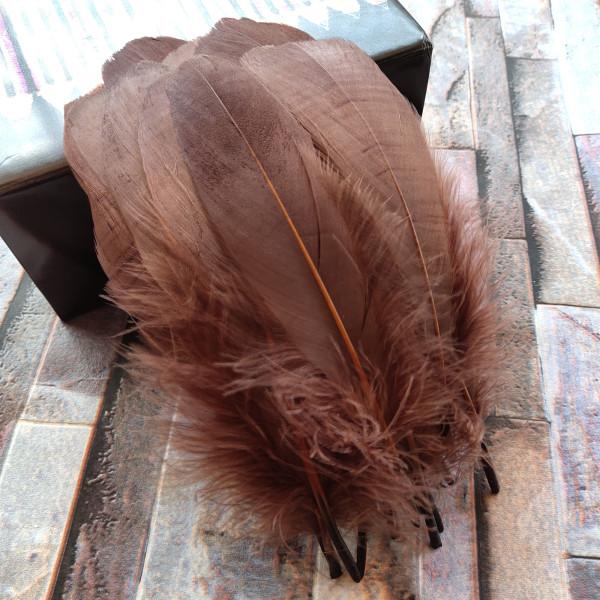 20pcs Natural Goose Feathers 31 Color Loose Goose Feathers 12-20cm Long Christmas Decoration Clothing Shoes Hat Accessories