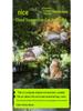 Cute Tail Cat Window Hammock: Sunbathing Bed with Suction Cups