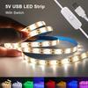 5V 2835 LED Strip Light 2835 60Leds/m Flexible Fita Led Tape With Switch White Warm Blue Waterproof LED Lights for Room Decor