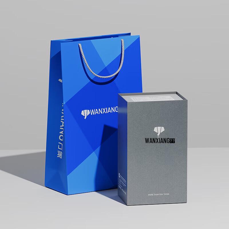 WANXIANG Stainless Steel Vacuum Insulated Mug