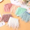 1 Meter Ostrich Feathers Trim 8-10 CM Plumes Ribbon Selvage For DIY Wedding Dress Decoration Crafts Accessories