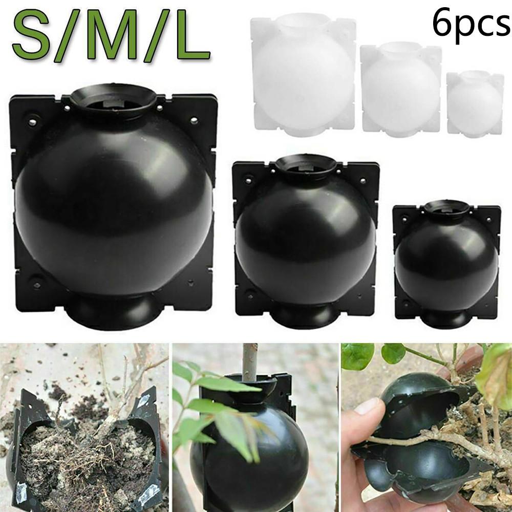 Boost Your Garden's Productivity with Propagation Ball Box Set of 6