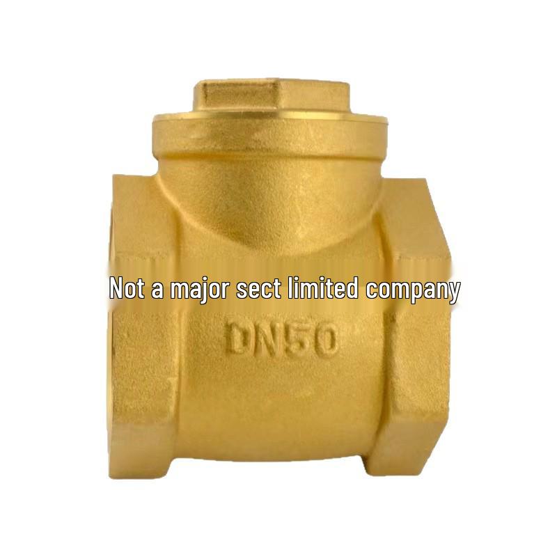 Full Copper Horizontal Check Valve Backflow Preventer for Tap Water (DN15) - Internal Thread