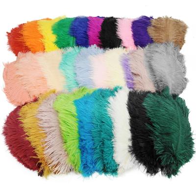 20 Pz/Lotto Piume di Struzzo Bianco Naturale Accessori Artigianali Fatti a Mano Decorazioni per Matrimonio Casa Mardi Gras Piume Colorate Deco