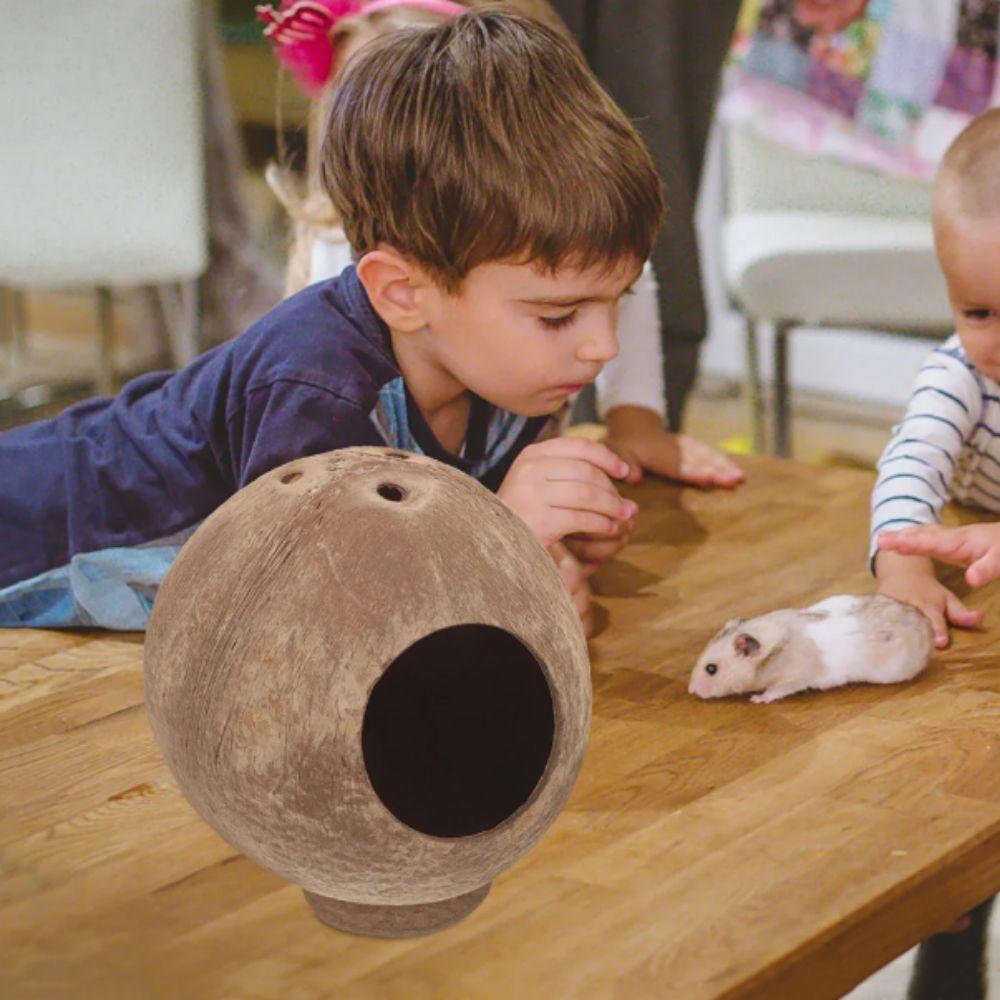 Bissfestes Kokosnussschalen-Hamsterhaus, stabile Struktur, Hamsternest, Spielzeug für Meerschweinchen, Ratte