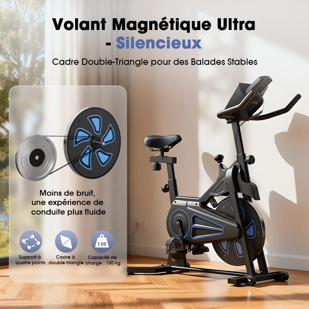 Indoor Cycling Bike iScooter QK116 6KG Flywheel Adjustable Resistance Magnetic Spin Bike LCD Screen Silent Belt