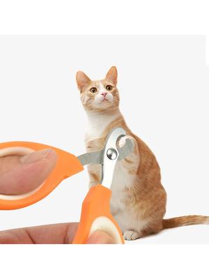 Köpek – Köpek bakım ürünleri